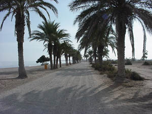 Roquetas